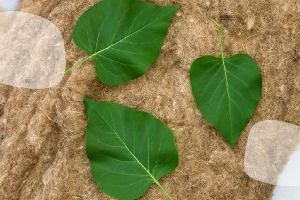 lana de oaie naturala izolatie